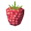 Raspberries