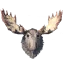Moose