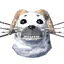 Seal Trophy
