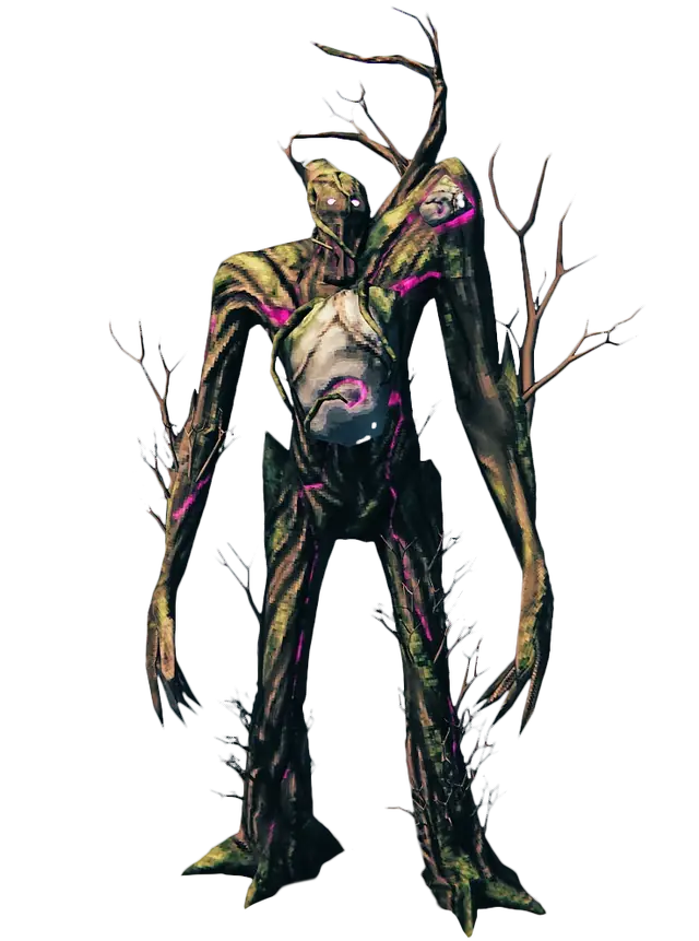 The Elder