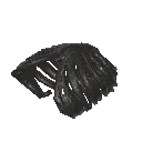 Giant Remains