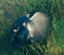 Photo: Araxar / Valheim Wiki Tin Deposit