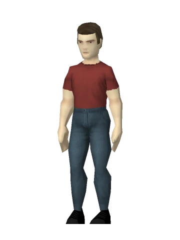 Belt, T-shirt, Pants, Socks and Shoes.